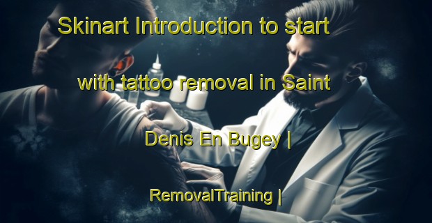 Skinart Introduction to start with tattoo removal in Saint Denis En Bugey | RemovalTraining | RemovalClasses | SkinartTraining-France